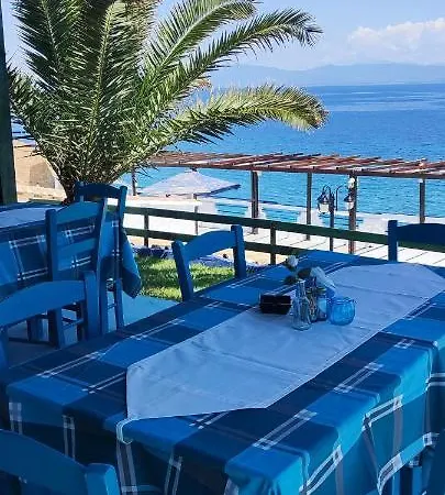 Koralli Hotel 3*