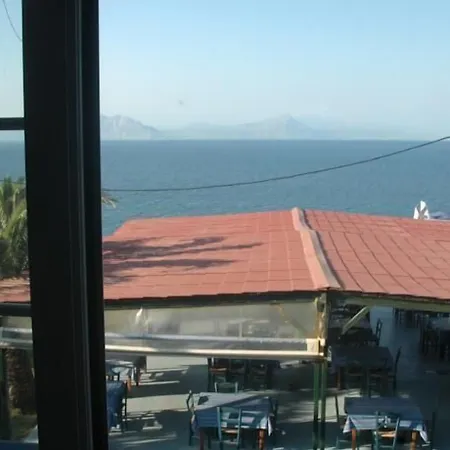 κοράλι Νιφορέικα