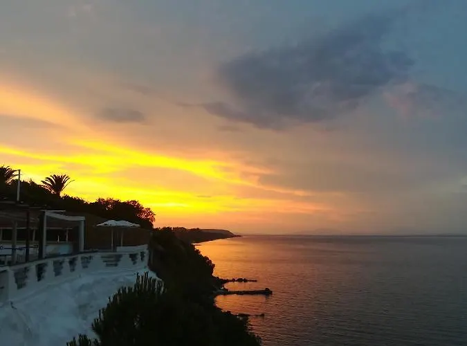 κοράλι Νιφορέικα