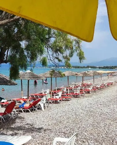 Koralli Otel 3*
