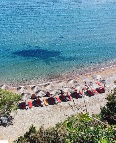 Koralli Otel Niforeika