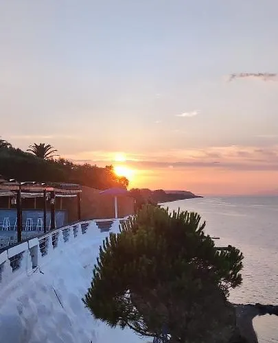 κοράλι Νιφορέικα