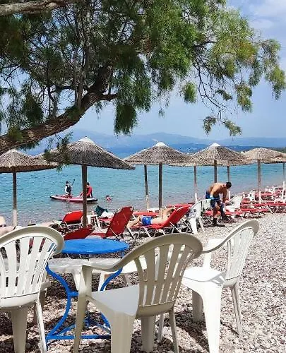 Otel Koralli