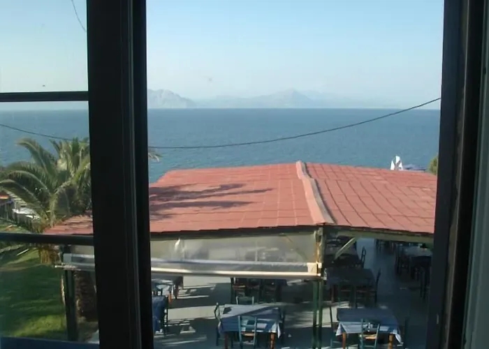 κοράλι Νιφορέικα